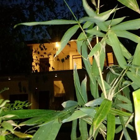 Green Earth Resort And Restaurant 丹不拉 外观 照片