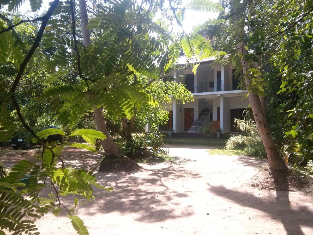 Green Earth Resort And Restaurant 丹不拉 外观 照片