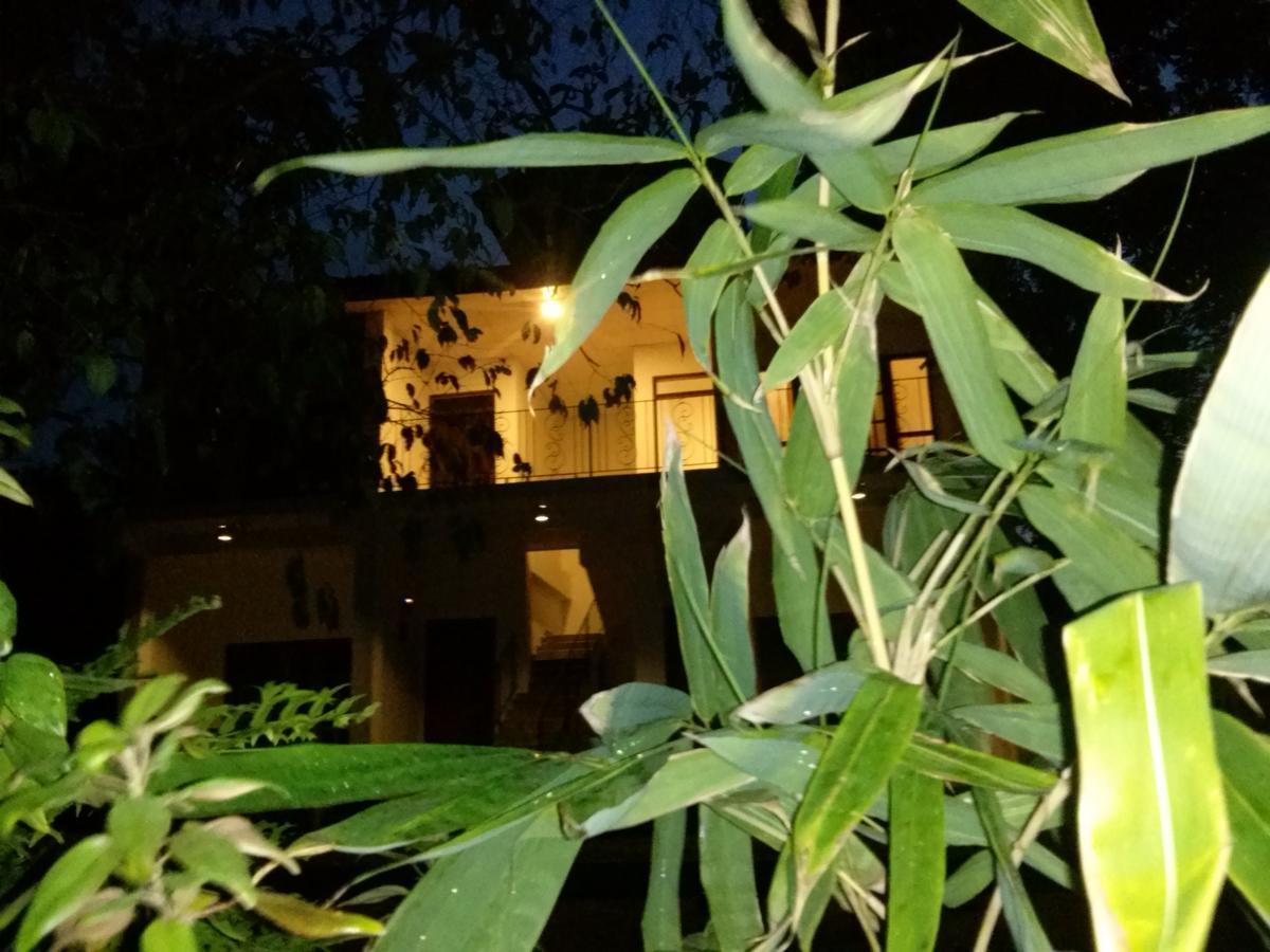 Green Earth Resort And Restaurant 丹不拉 外观 照片
